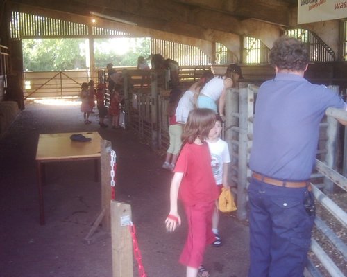 Birthday Party at Longdown Activity Farm
