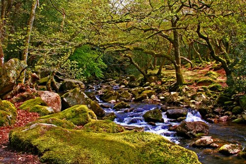 Dartmoor National Park