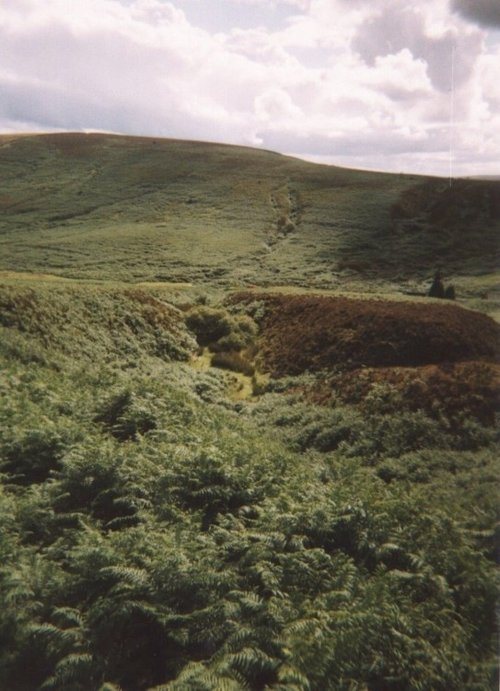 Dartmoor National Park