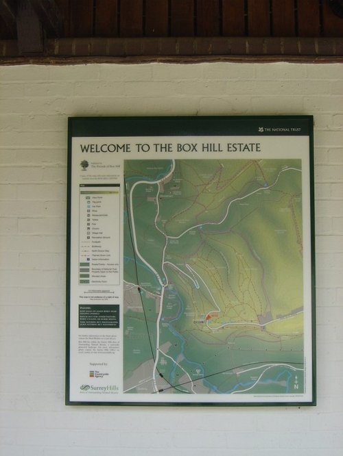 Box Hill Country Park