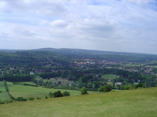 Box Hill Country Park