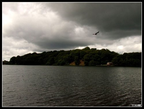 Talkin Tarn Country Park