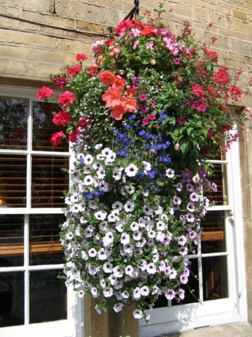 Hanging flower basket Moreton in Marsh, Gloucestershire
