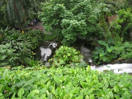 The Waterfall in the Tropical Zone, Eden Project