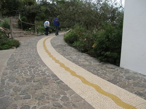Path in the Temporate Zone, Eden Project