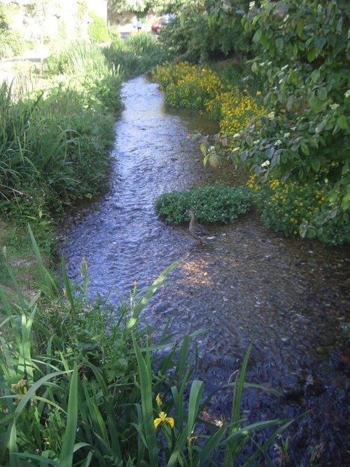 Stream in Winkle Street, Calbourne, Isle of Wight.