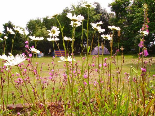 Cliff House Holiday Park