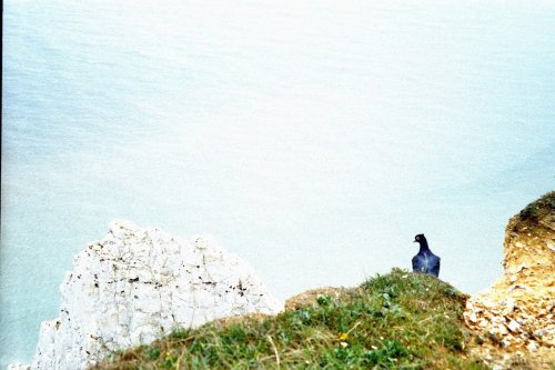 Beachy Head