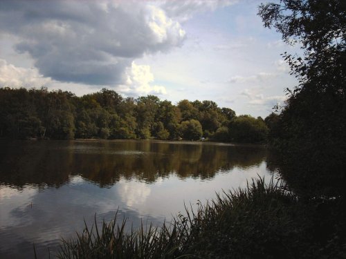 view of slaugham lake, slaugham, west sussex.
