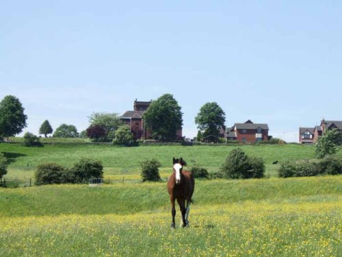 Norton in the moors, Staffordshire.