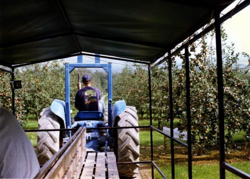 Callestock Cider Farm