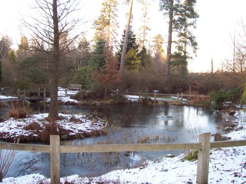 Tilgate Forest Country Park