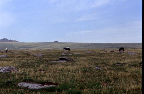 LANDSCAPES IN BODMIN MOOR, CORNWALL
