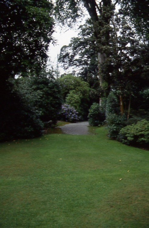 Trewithen Gardens