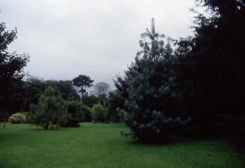 Trewithen Gardens