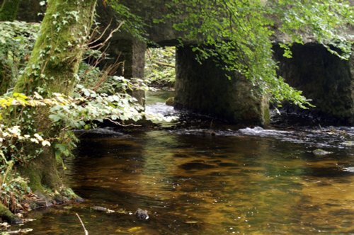 The river Fowey, running down to Golitha falls near St Neot, Bodmin Moor. Cornwall. September 2006.