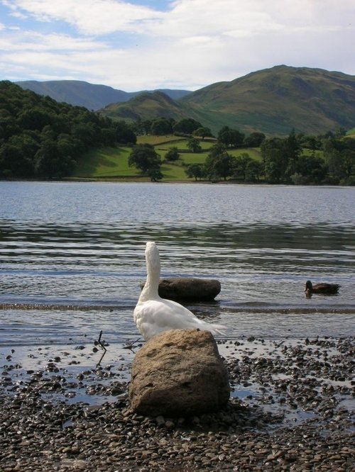A picture of Ullswater in Lake District - England