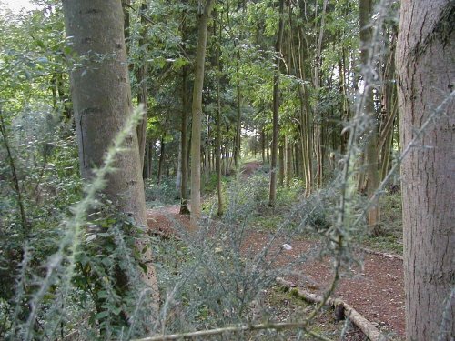 Burton Dassett Hills Country Park