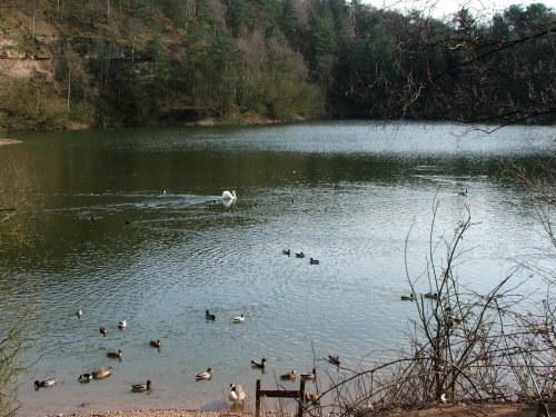 Cannock Chase Country Park