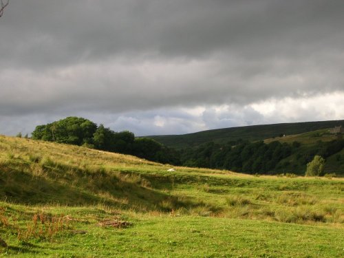 County Durham