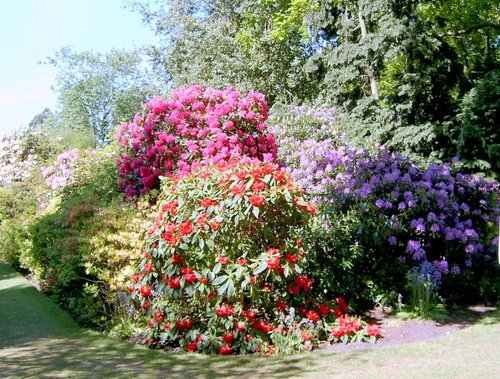 Stody Lodge Gardens,  Norfolk
