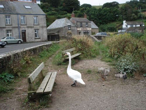 Slapton Sands, Devon