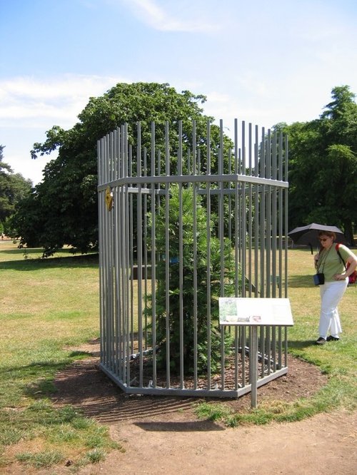 Kew Royal Botanical Gardens