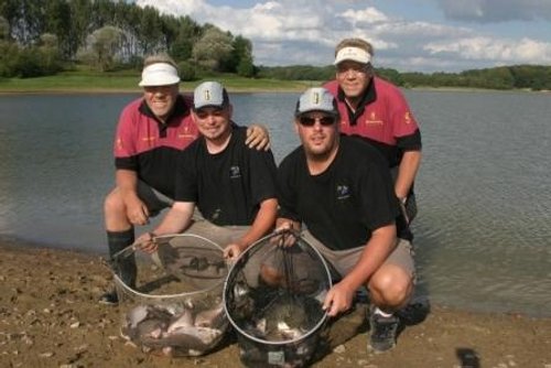 A picture of Bough Beech