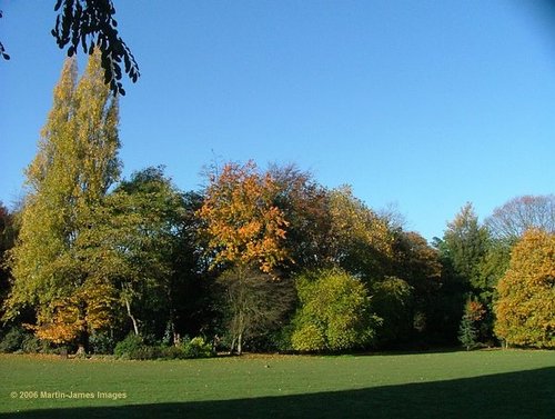Rear lawn and woods in autumn at Holland Park, London.