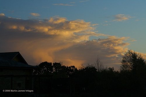 London Wetland Centre