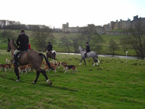 Photo taken of the Percy Hunt @ Alnwick Castle.