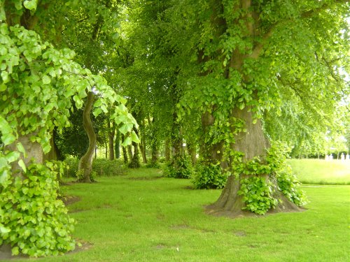 Photo taken in the grounds of Alnwick Castle Gardens