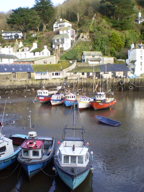 Polperro Harbour Nov '06