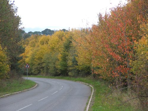 Autum, Ford Street, Wellington, Somerset