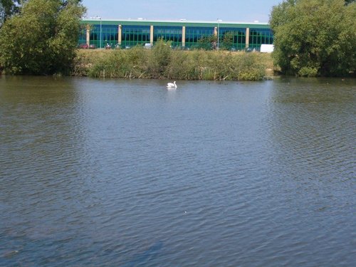 The sash, Grimethorpe