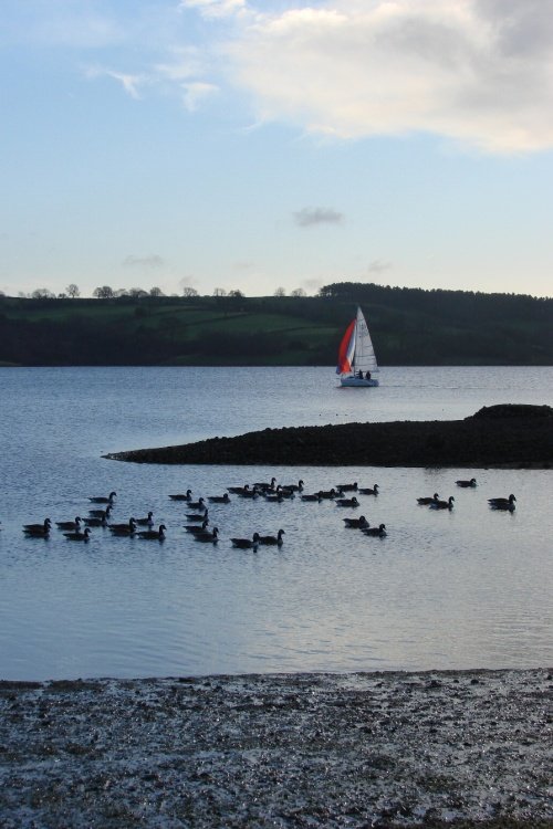 Explore Carsington Water in Derbyshire, England