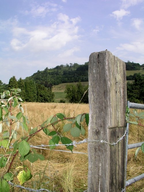 Fence post in the way of Box Hill, Dorking, Surrey