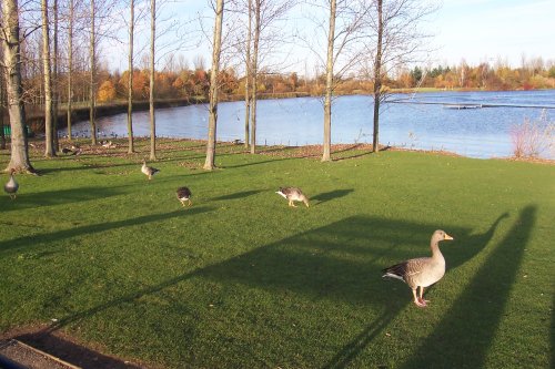Willen Lake, Milton Keynes, Buckinghamshire.