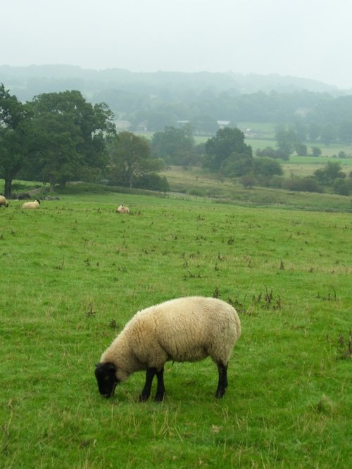 Tyne River Valley, Chesters Roman Fort, Northumberland