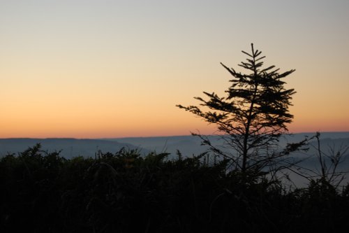 Sunset. Christmas 2006 in The Axe Valley, Devon