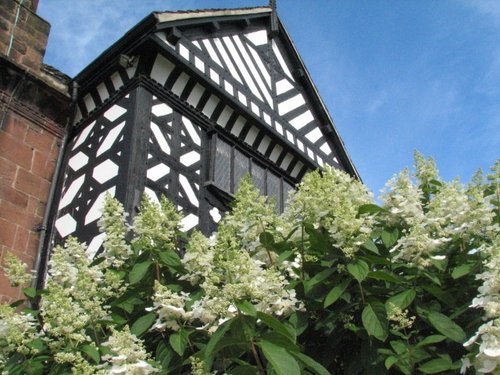 The back of the hall, overlooking the rose garden, Liverpool, Merseyside.