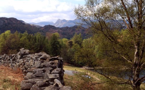 A view of Langdale Pikes, Little Langdale, Cumbria from Tarn Hows.