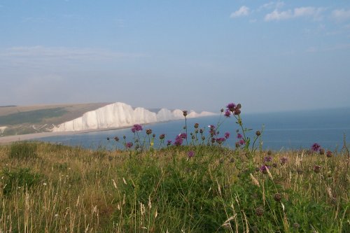 Seven Sisters Country Park, Cuckmere Haven, East Sussex.