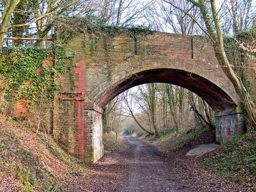 The Downslink footpath at Rudgwick, West Sussex.