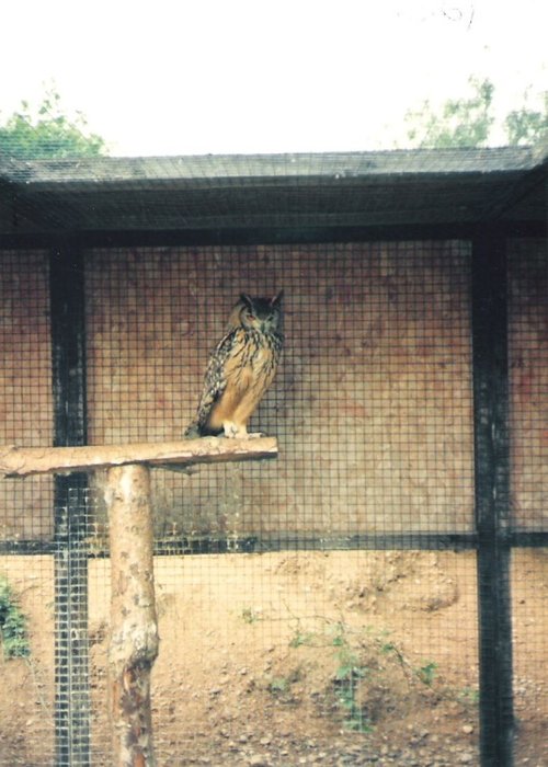 Wetlands Waterfoul Reserve
