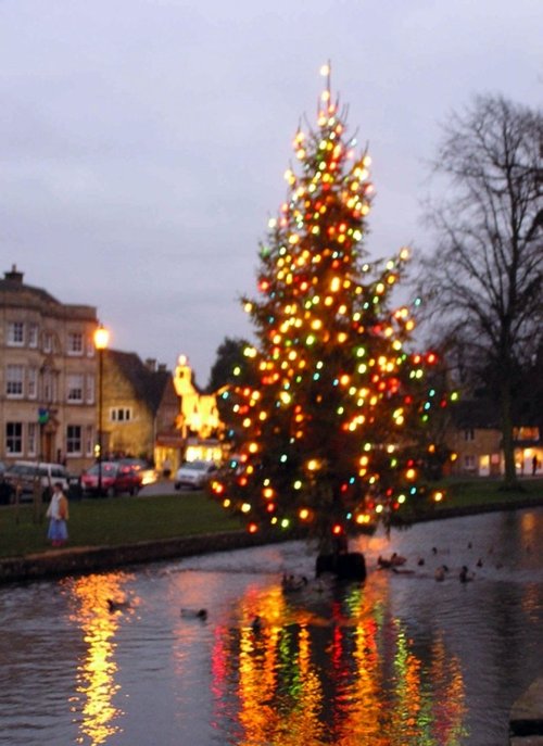 "River Christmas tree in Bourton on the Water