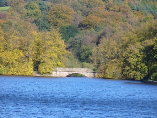 Knypersley Pool, Greenway Bank Country Park, Biddulph