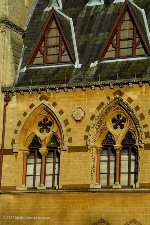 University Museum of Natural History