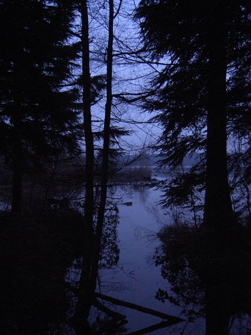 Delamere Forest Park