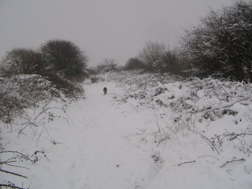 Rear of the firestation in the snow, Millom, Cumbria
